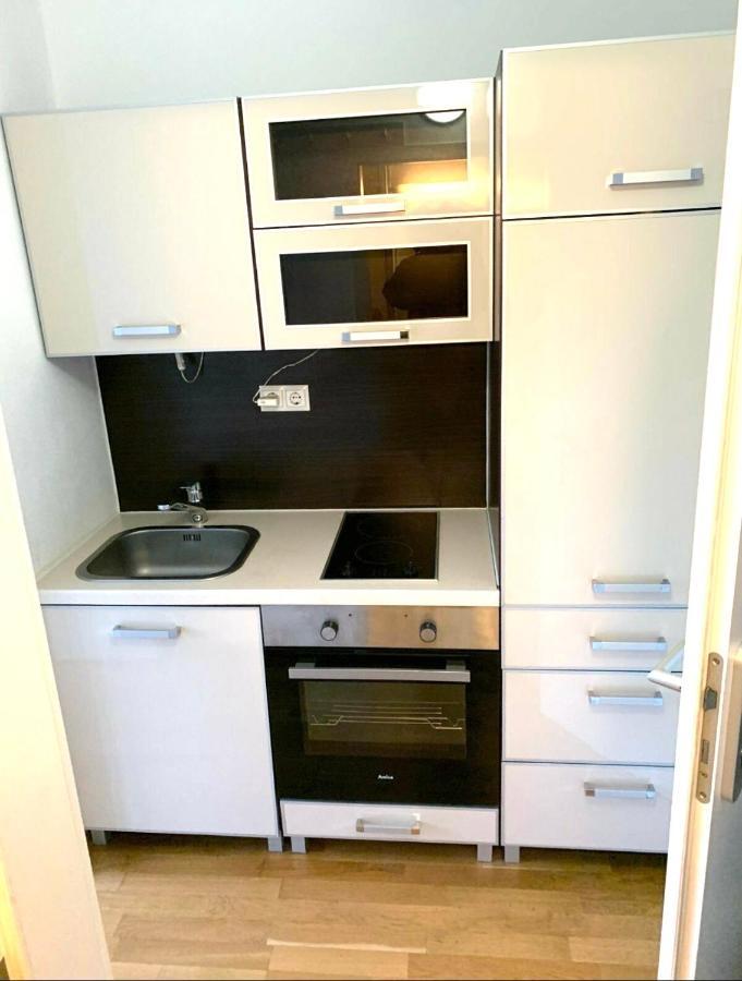 Beautiful Premium Apartment, Near University , Wifi , Free Parking Ratisbonne Extérieur photo